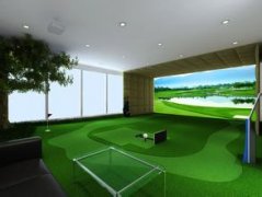 室内高尔夫系统帮助你锻炼自己的风度的和品位 也能提高咱们的球技的