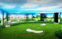 模拟高尔夫设备实用价值很高很多的用户都很喜欢 安装价格也很低
